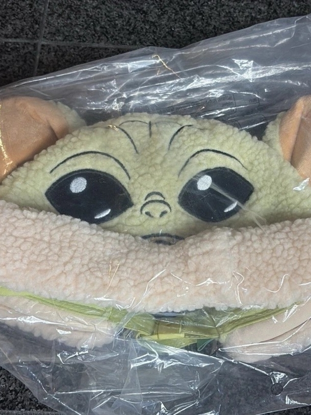 Green Plush Small Pets Bed with Sherpa Lining